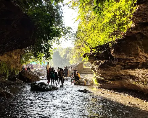 Day 5: Kanatal / Dhanaulti → Dehradun (60 km / 2 hrs)